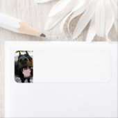 ドーバーマンの接写 ラベル (インサイチュ)