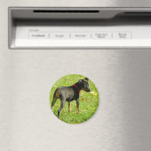 ドーバーマンパピズラウンドマグネット マグネット (インサイチュ (食洗機))