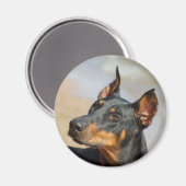 ドーバーマン磁石 マグネット (正面/裏面)