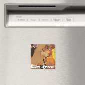 ドーバー骨線 マグネット (インサイチュ (食洗機))