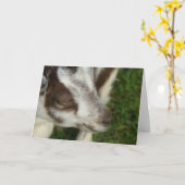 ドーピー カード (黄色い花)