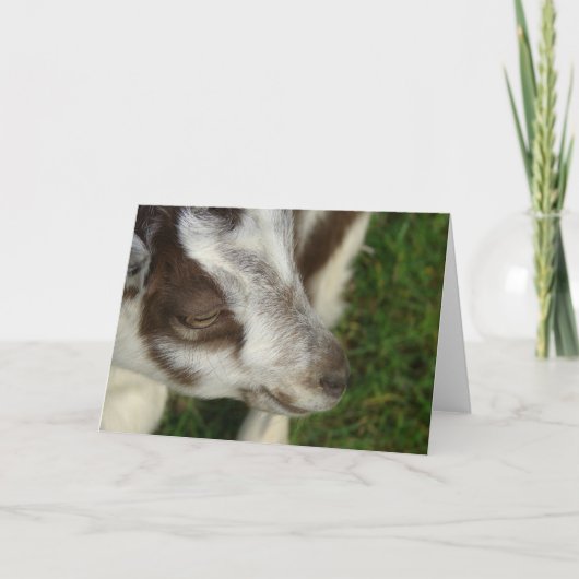 ドーピー カード (正面)