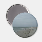 ドーフィン島マグネット#2 マグネット (正面/裏面)