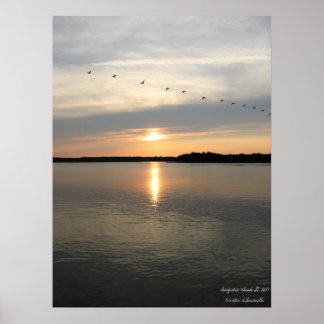 ドーフスキーバウンド ポスター