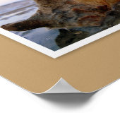 ドーフスキ島の貝殻 ポスター (角)