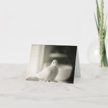 ドーブカ空白のード