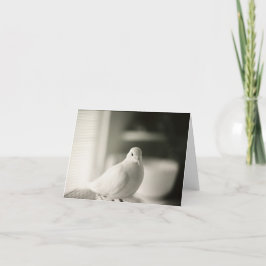 ドーブカ空白のード カード