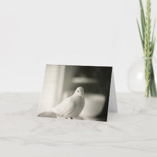 ドーブカ空白のード カード