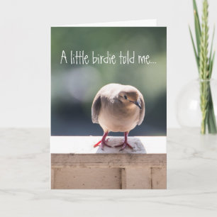 ドーブサプライズお祝いグリーティング カード