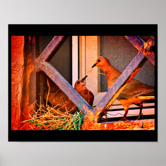 ドーブロマンス ポスター (正面)