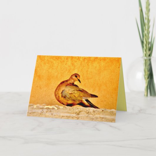 ドーブ美しい カード (正面)