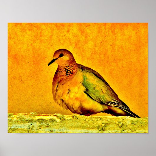 ドーブ美しい ポスター (正面)