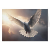 ドーブ飛んでいると曇り晴れ空 (正面横)