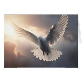 ドーブ飛んでいると曇り晴れ空