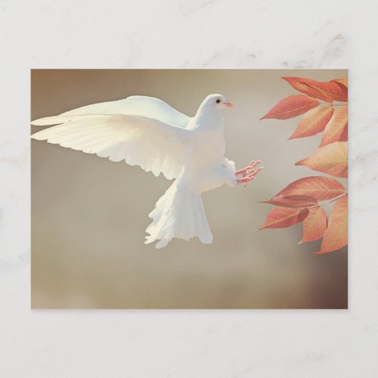 ドーブ·クリスチャン宗感動的教悔やみや弔慰 ポストカード (正面)