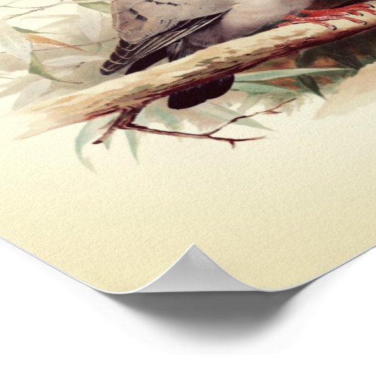 ドーブ ポスター (角)