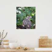 ドーブ ポスター (キッチン)