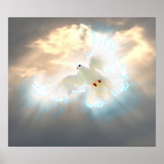 ドーブ ポスター (正面)