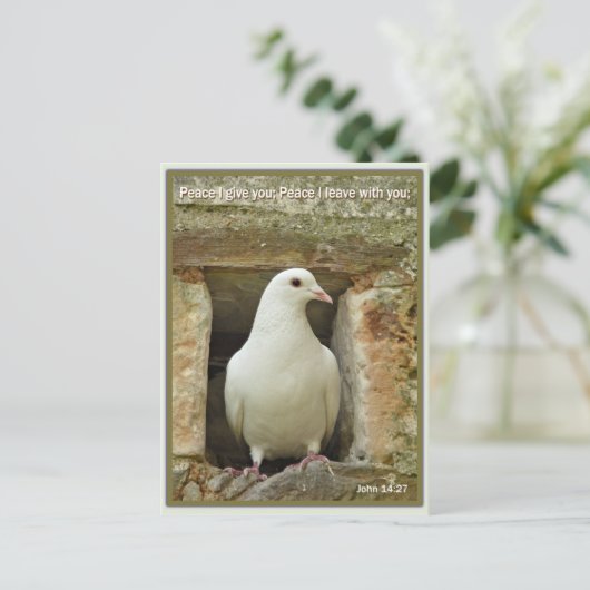 ドーブ ポストカード (スタンド正面)