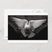 ドーブ ポストカード (正面/裏面)