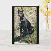 ドーベルマン犬の挨拶状 カード (黄色い花)