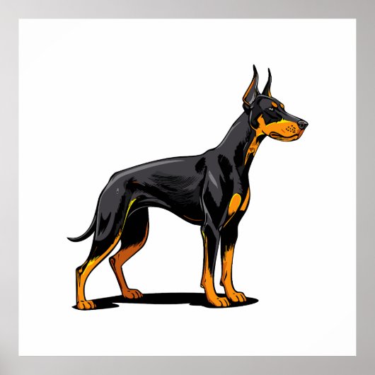ドーベルマン犬の頭部の肖像画 正面 ポスター (正面)