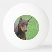 ドーベルマン犬 卓球ボール (裏面)