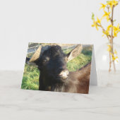 ドーベルマン（犬）ザアルペンビリー カード (黄色い花)