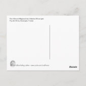 ドームから表示 ポストカード (裏面)