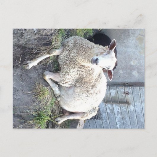 ドーリス – クール村の中のエウェ ポストカード (正面)