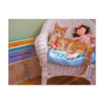 ドール子猫コール