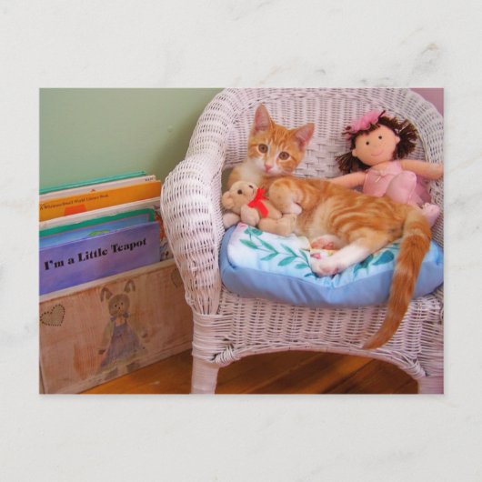 ドール子猫コール ポストカード (正面)