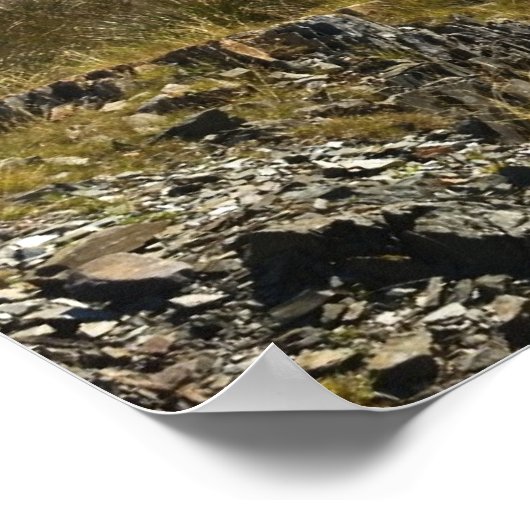 ドーロウフ ポスター (角)