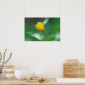 ドーンのポスターポテトタンポポ ポスター (キッチン)