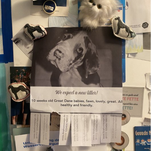 ドーンの子犬をカラフルに販売するには チラシ