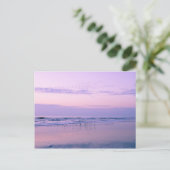 ドーンアットザビーチ ポストカード (スタンド正面)