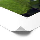 ドーンオンロータス池 ポスター (角)