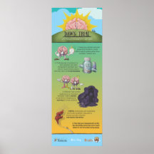 ドーントライアルインフォグラフィック