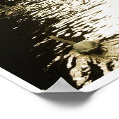 ドーンポスターアートでアムステルダム運河の白鳥 ポスター (角)