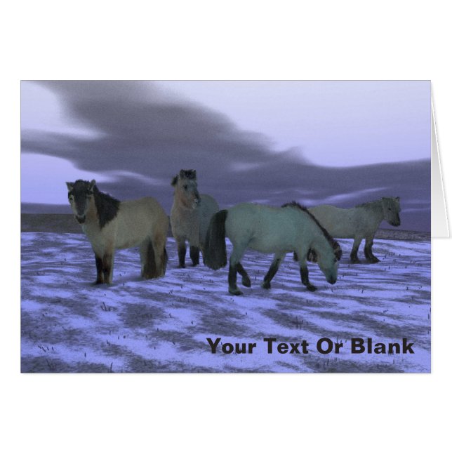 ドーン・ホース (正面横)