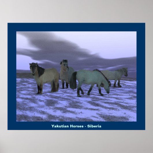 ドーン・ホース ポスター (正面)