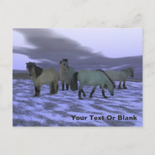 ドーン・ホース ポストカード