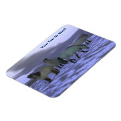 ドーン・ホース マグネット (左側)