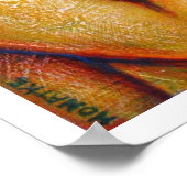 ドーン ポスター (角)