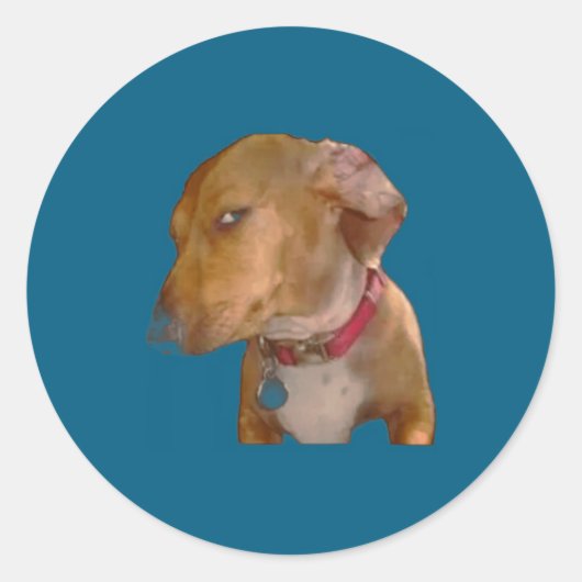 ド派手な横目おもしろ犬 ラウンドシール (正面)