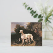 ド・ドレウの広大な景観のグレイハウンド ポストカード (スタンド正面)