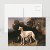 ド・ドレウの広大な景観のグレイハウンド ポストカード (正面/裏面)