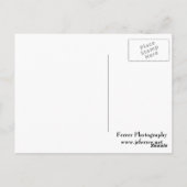 ナイアガラの滝州立公園の アメリカンフォールズとブライダルベールフォールズ ポストカード (裏面)