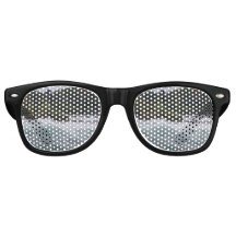 ナイアガラの滝観光