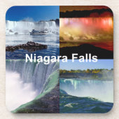 ナイアガラ滝ズニューヨーク コースター (正面)